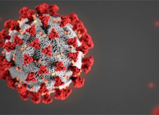 COVID: India records 7,579 new Covid cases in past 24 hours, lowest in 543 days