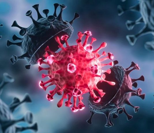 Delta Plus Variant, currently a Variant of Concern – Union Health Ministry