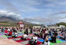 Unlocking the Power of Yoga: New Device to Enhance Memory and Combat Alzheimer’s