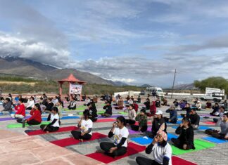 Unlocking the Power of Yoga: New Device to Enhance Memory and Combat Alzheimer’s