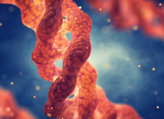 Are there Health Benefits of Extreme Summers?