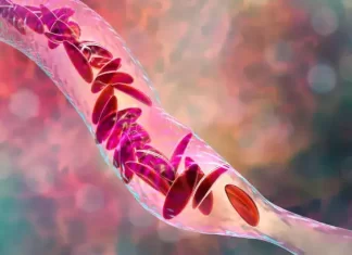 India achieves Milestone of 6 Crore Screenings under National Sickle Cell Anemia Elimination Mission