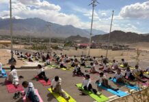 Linking Yoga to Mindful and Low-Consumption Living