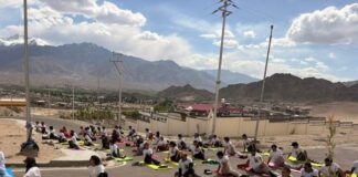 Linking Yoga to Mindful and Low-Consumption Living