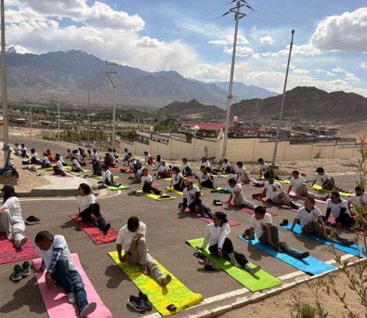 Linking Yoga to Mindful and Low-Consumption Living