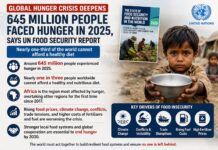 Global Hunger Crisis Deepens: 645 Million People Faced Hunger in 2025, Says UN Food Security Report Hunger Crisis