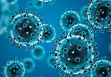 COVID-19 Alert: Andhra Pradesh Reports Two Deaths, Tamil Nadu Rules Out New Dangerous Variant Covid 19 Cases