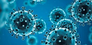 COVID-19 Alert: Andhra Pradesh Reports Two Deaths, Tamil Nadu Rules Out New Dangerous Variant Covid 19 Cases