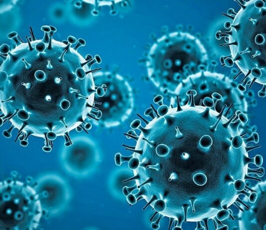 COVID-19 Alert: Andhra Pradesh Reports Two Deaths, Tamil Nadu Rules Out New Dangerous Variant Covid 19 Cases