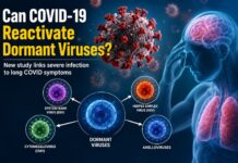 Can COVID-19 Reactivate Dormant Viruses? New Study Links Severe Infection to Long COVID Symptoms COVID-19 and dormant viruses