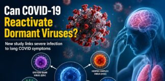 Can COVID-19 Reactivate Dormant Viruses? New Study Links Severe Infection to Long COVID Symptoms COVID-19 and dormant viruses