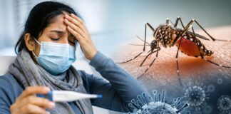 Delhi Sees Sharp Rise in H1N1 and Dengue Cases; Experts Urge Residents to Stay Alert Delhi H1N1 Cases Surge to 1,449: Swine Flu and Dengue Rise Raises Health Concerns