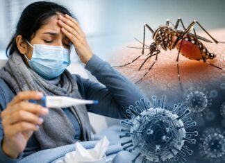 Delhi Sees Sharp Rise in H1N1 and Dengue Cases; Experts Urge Residents to Stay Alert Delhi H1N1 Cases Surge to 1,449: Swine Flu and Dengue Rise Raises Health Concerns