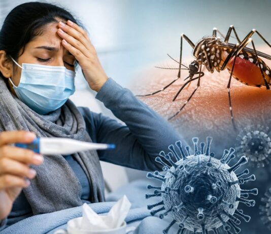Delhi Sees Sharp Rise in H1N1 and Dengue Cases; Experts Urge Residents to Stay Alert Delhi H1N1 Cases Surge to 1,449: Swine Flu and Dengue Rise Raises Health Concerns