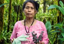 Yanung Jamoh Lego: Arunachal Pradesh’s ‘Adi Queen of Herbs’ and Her Journey of Traditional Healing Yanung Jamoh Lego of Arunachal Pradesh is known for great contribution in preserving indigenous herbal knowledge and promoting traditional healing practices.