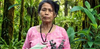 Yanung Jamoh Lego: Arunachal Pradesh’s ‘Adi Queen of Herbs’ and Her Journey of Traditional Healing Yanung Jamoh Lego of Arunachal Pradesh is known for great contribution in preserving indigenous herbal knowledge and promoting traditional healing practices.