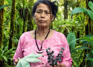 Yanung Jamoh Lego: Arunachal Pradesh’s ‘Adi Queen of Herbs’ and Her Journey of Traditional Healing Yanung Jamoh Lego of Arunachal Pradesh is known for great contribution in preserving indigenous herbal knowledge and promoting traditional healing practices.
