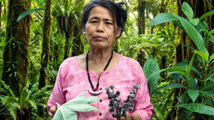 Yanung Jamoh Lego of Arunachal Pradesh is known for great contribution in preserving indigenous herbal knowledge and promoting traditional healing practices.