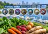 Yamuna Vegetables Show High Heavy Metal Levels: Delhi University Study Raises Cancer Risk Concerns Heavy Metals in Yamuna water