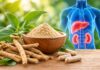 24-Week Ashwagandha Clinical Trial Finds No Evidence of Liver or Kidney Injury in 1,200 Adults Ashwagandha is safe